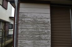 2020 0615 Tsama mae043.JPG