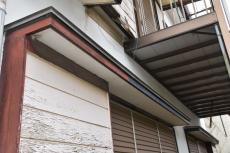 2020 0615 Tsama mae045.JPG