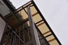 2020 0615 Tsama mae047.JPG