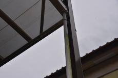 2020 0615 Tsama mae048.JPG