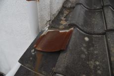 2020 0615 Tsama mae057.JPG