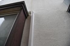 2020 0615 Tsama mae061.JPG