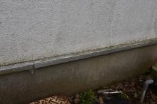 2020 0615 Tsama mae071.JPG