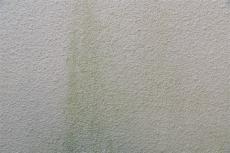 2020 0618 Nsama mae019.JPG
