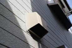 2020 0619 Ssama mae014.JPG