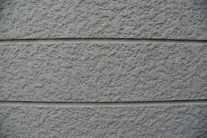 2020 0619 Ssama mae018.JPG