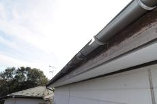 2020 0619 Ssama mae035.JPG