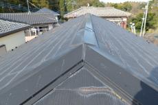 2020 0619 Ssama mae039.JPG