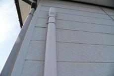 2020 0619 Ssama mae045.JPG