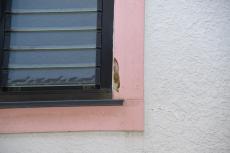 2020 0622 Ksama mae012.JPG