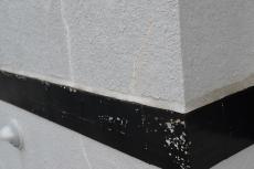 2020 0622 Ksama mae047.JPG