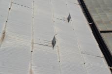 2020 0622 Ksama mae057.JPG