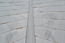 2020 0622 Ksama mae060.JPG