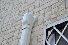 2020 0623 Isama mae018.JPG