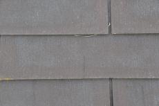 2020 0623 Isama mae057.JPG