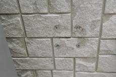 2020 0623 Isama mae065.JPG