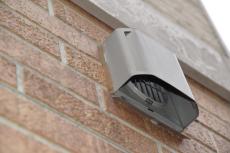 2020 0703 Msama mae021.JPG