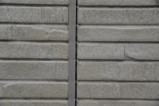 2020 0703 Msama mae039.JPG