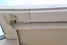 2020 0703 Msama mae066.JPG