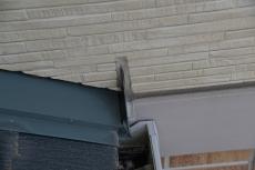 2020 0703 Msama mae069.JPG