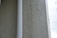 2020 0717 Hsama mae031.JPG