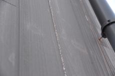 2020 0717 Hsama shisui mae014.JPG