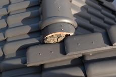 2020 0717 Hsama shisui mae063.JPG