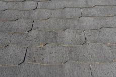 20200108 Hsama mae005.JPG