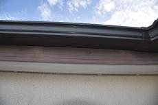 20200108 Hsama mae010.JPG