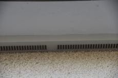 20200108 Hsama mae012.JPG