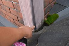 20200108 Hsama mae020.JPG