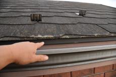 20200108 Hsama mae022.JPG