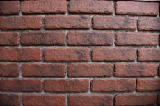 20200108 Hsama mae026.JPG