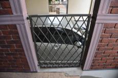 20200108 Hsama mae032.JPG