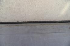 20200108 Hsama mae058.JPG