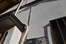 20200120 Ssama mae004.JPG