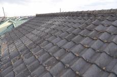 20200120 Ssama mae034.JPG