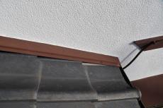 20200120 Ssama mae038.JPG