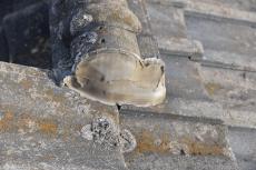 20200120 Ssama mae041.JPG