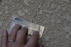 20200227 Ysama mae006.JPG