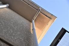 20200227 Ysama mae016.JPG