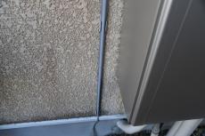 20200227 Ysama mae019.JPG