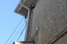 20200227 Ysama mae025.JPG