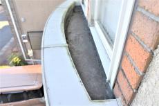 20200227 Ysama mae028.JPG