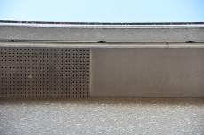 20200227 Ysama mae038.JPG