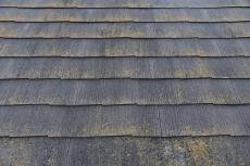 20200227 Ysama mae054.JPG