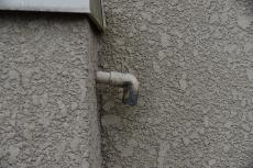 20200227 Ysama mae063.JPG