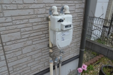 2020_0902_Tsama_narita06.JPG