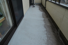 2020_0902_Tsama_narita06.JPG