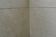 2020_0902_Tsama_narita06.JPG